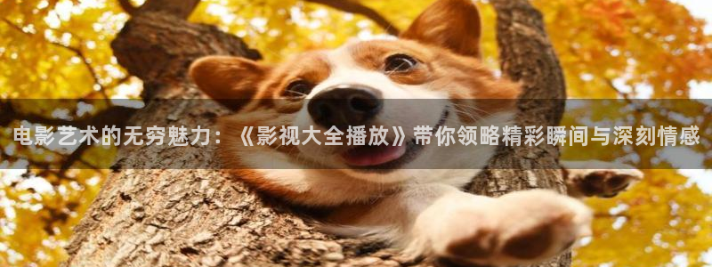 轨道影院是什么样的：电影艺术的无穷魅力：《影视大全播放》带你领略精彩瞬间与深刻情感