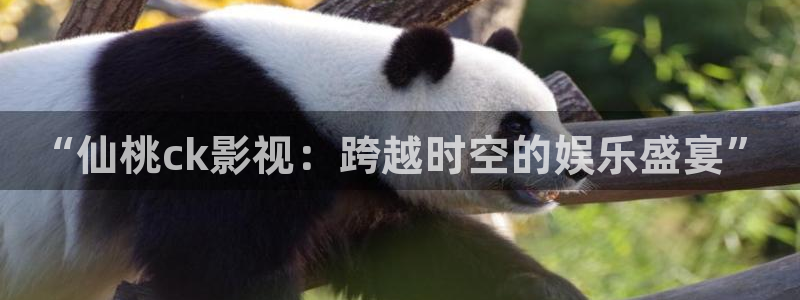 轨道影院是什么样的：“仙桃ck影视：跨越时空的娱乐盛宴”
