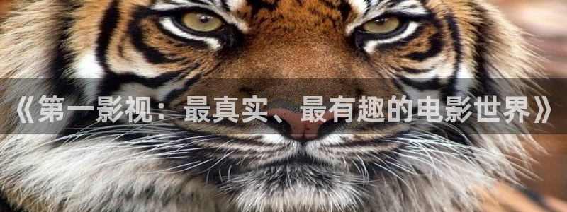 轨道式影院：《第一影视：最真实、最有趣的电影世界》