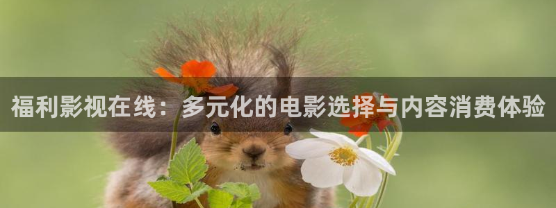 元宇宙轨道影院：福利影视在线：多元化的电影选择与内容消费体验