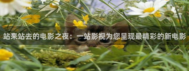 轨道影院设备：站来站去的电影之夜：一站影视为您呈现最精彩的新电影