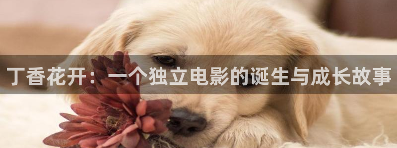 轨道影院厂家：丁香花开：一个独立电影的诞生与成长故事