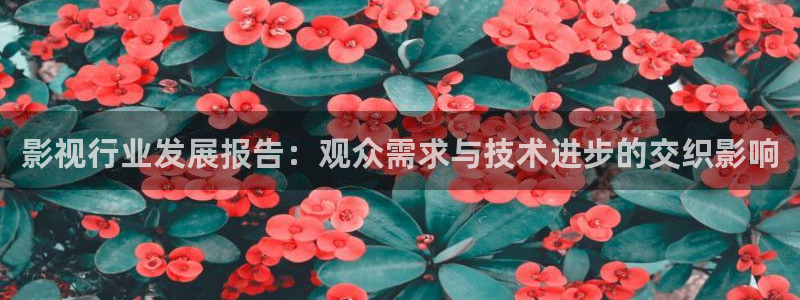 5d轨道影院：影视行业发展报告：观众需求与技术进步的交织影响
