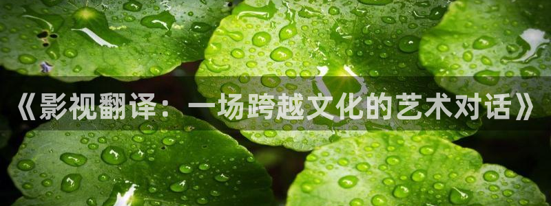 轨道 影院：《影视翻译：一场跨越文化的艺术对话》