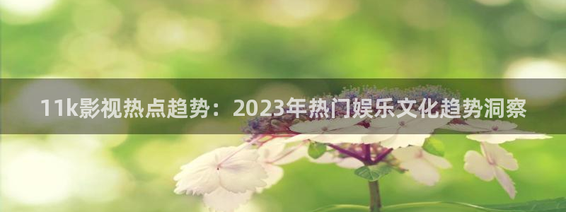 轨道电影网：11k影视热点趋势：2023年热门娱乐文化趋势洞察